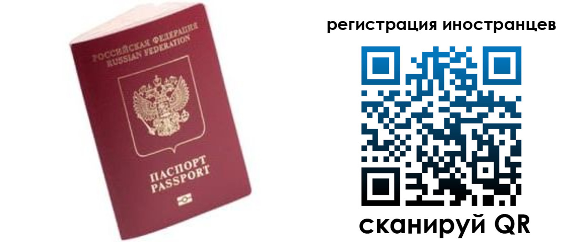 прописка гарантия в Дрезне